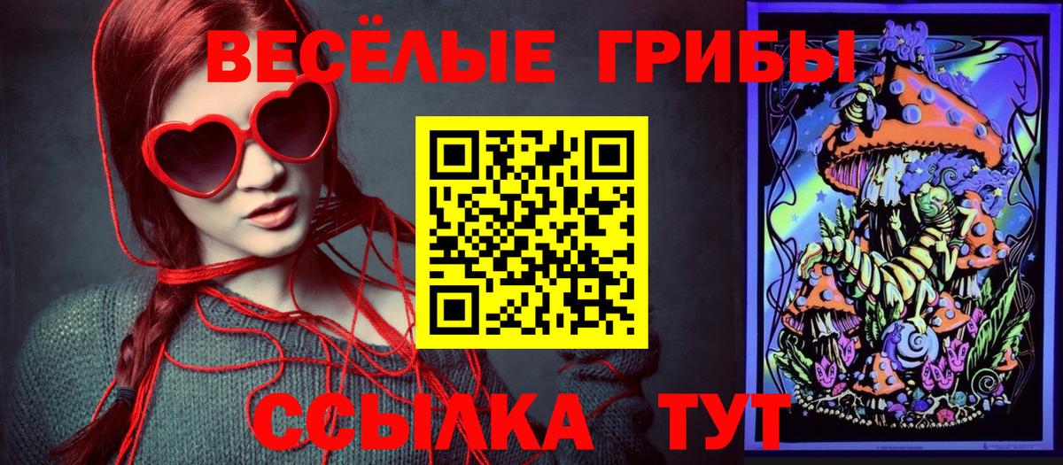 Галлюциногенные грибы Psilocybine cubensis Канск